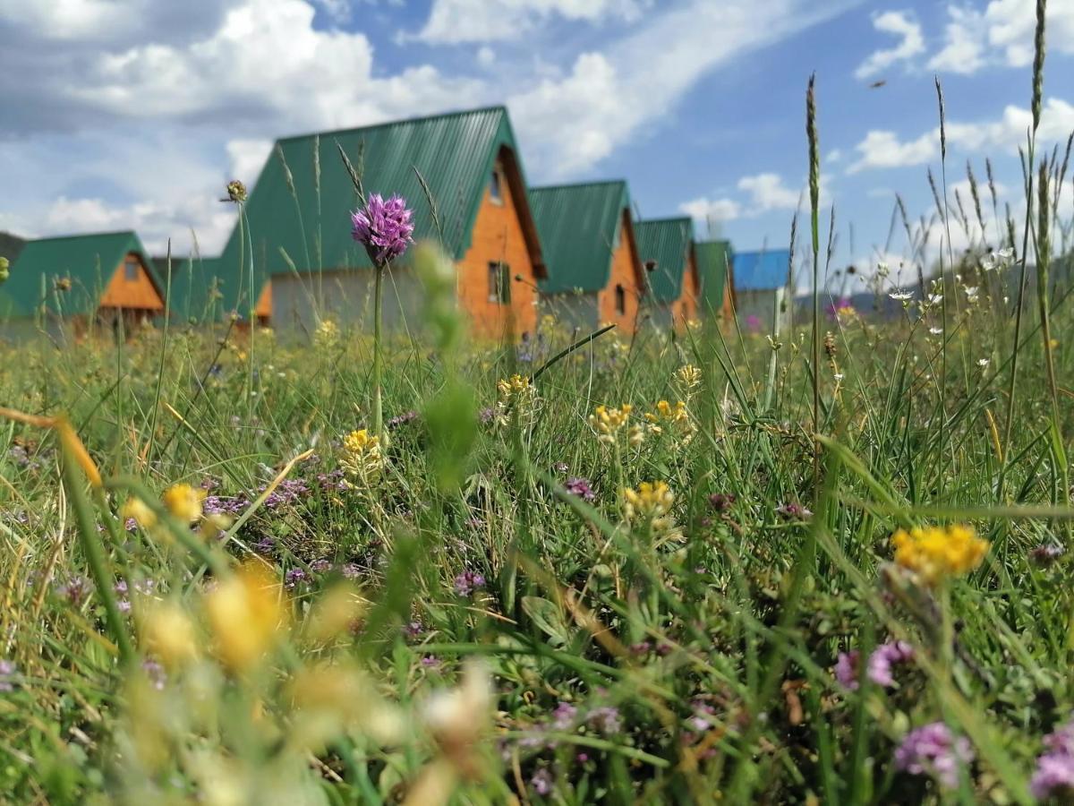 Bungalovi Tim Žabljak Eksteriør bilde